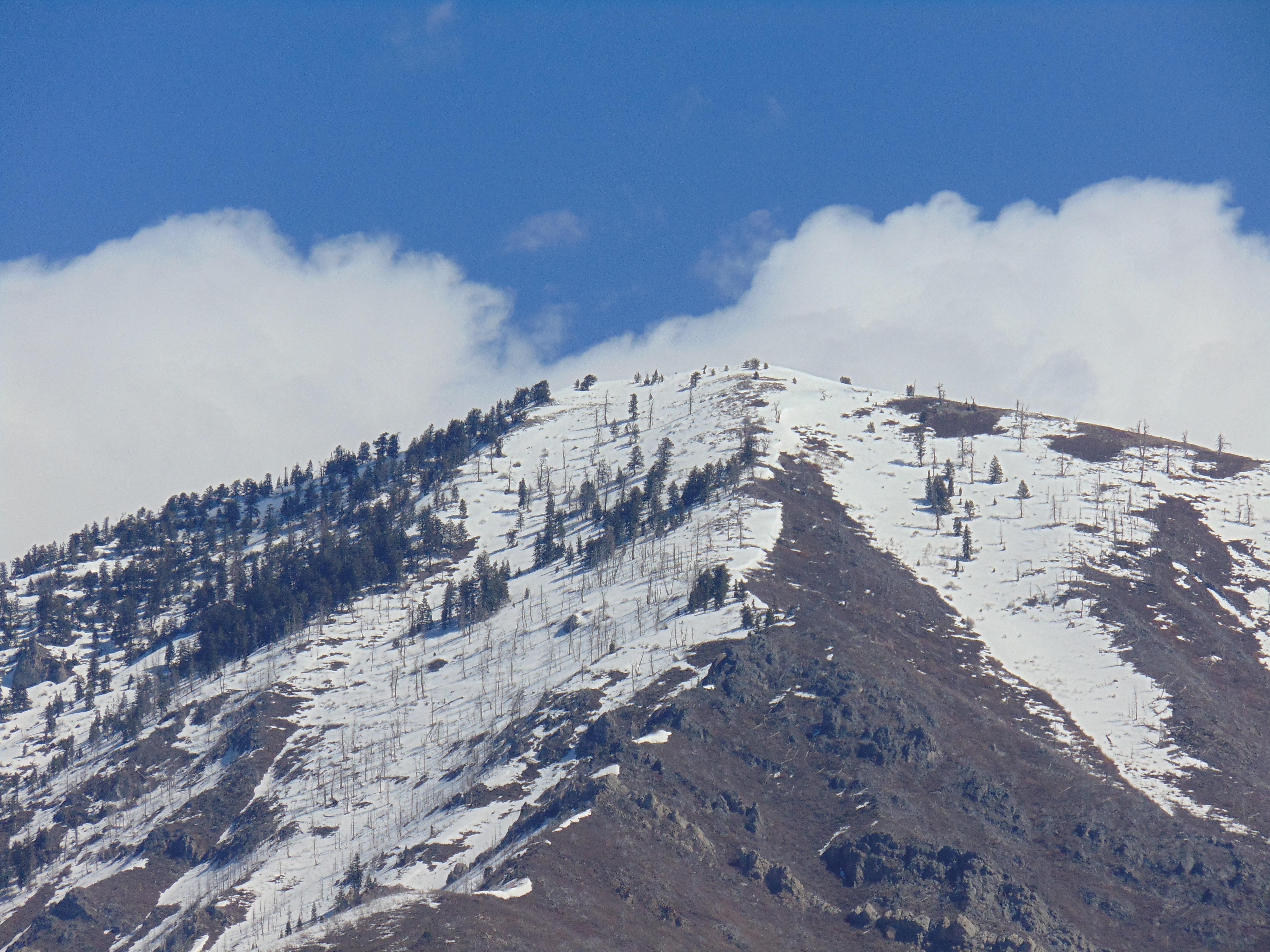 Holiday Inn Express & Suites Springville-South Provo Area By Ihg Esterno foto